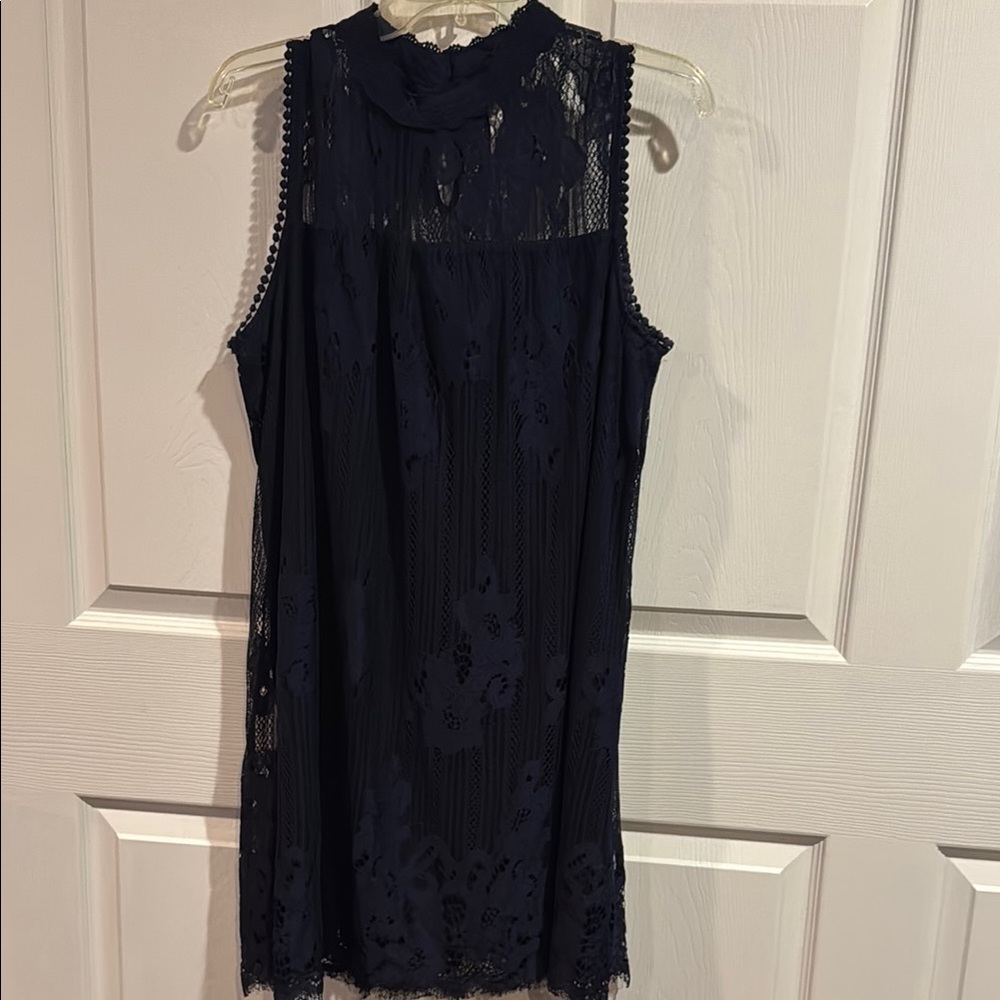 Elegant Navy Lace Sleeveless Dress